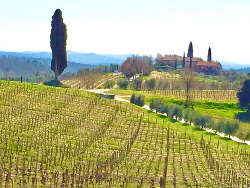 Casa Rossella,charming house in historical Chianti Estate ,private pool and park