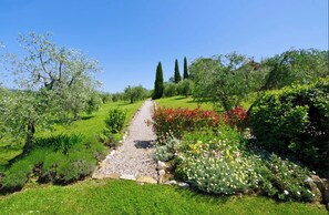 Áreas de la propiedad