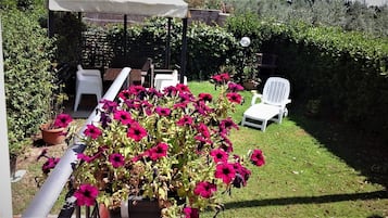 Terrazza/patio