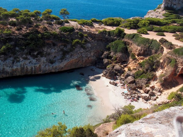 Toallas de playa 