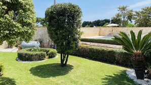 Un jardí ben cuidat amb gespa, tarrasses ben podades i una palmera.