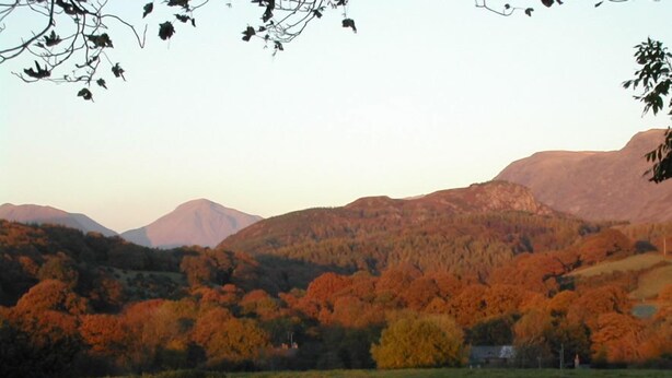 Paisaje rural con colinas ondulantes, árboles de colores otoñales y una casa pequeña al frente.
