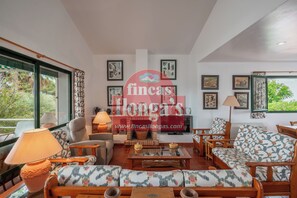 TV, fireplace, books, stereo