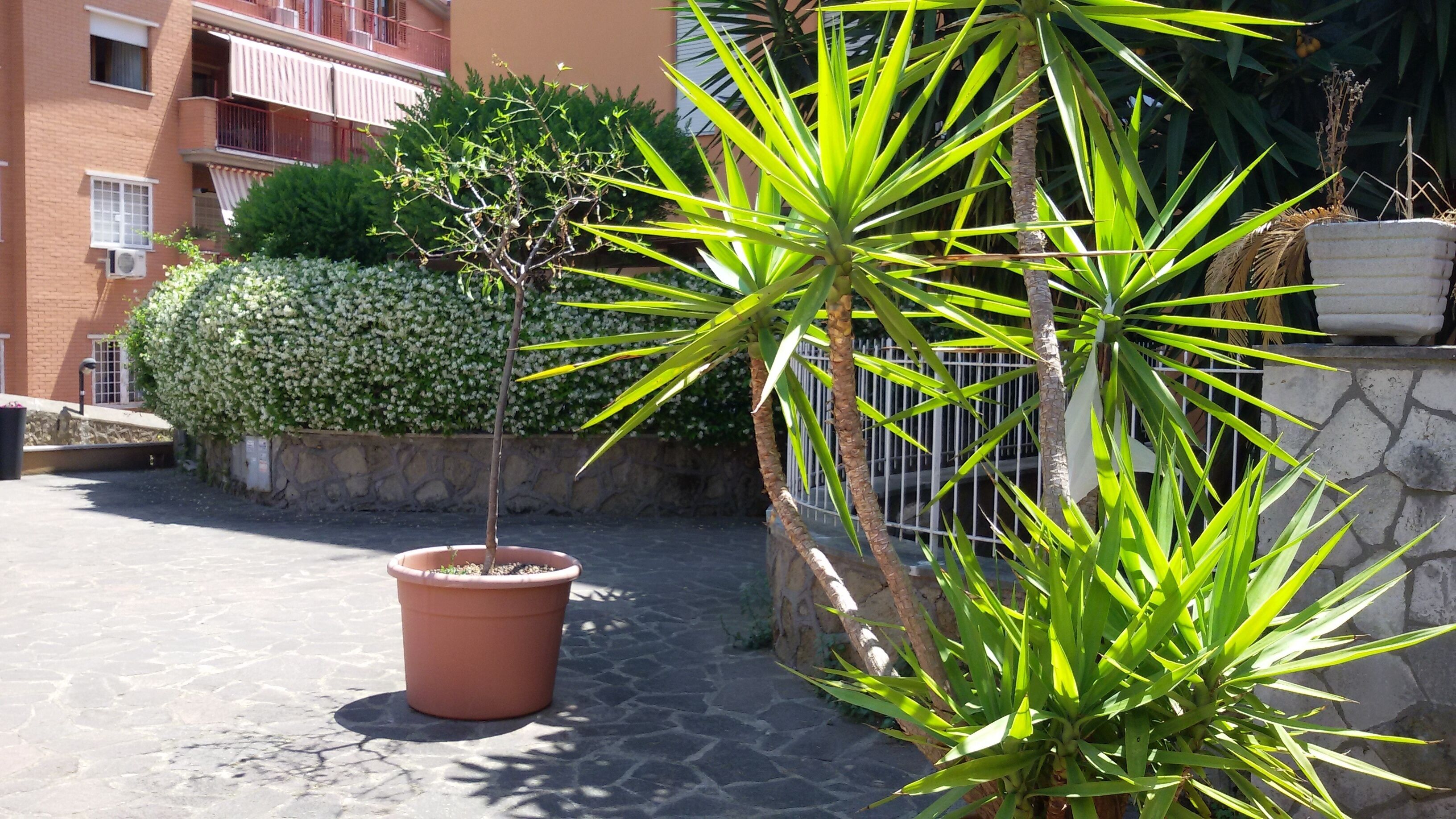 Jardines del alojamiento
