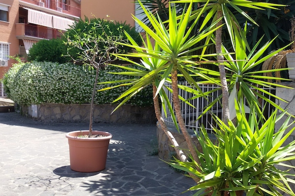 Jardines del alojamiento