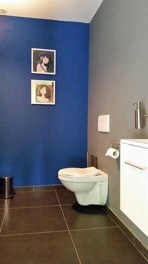 Shower, hair dryer, towels, toilet paper