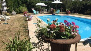 Un jardin avec une piscine, du mobilier d’extérieur et des plantes en pot.