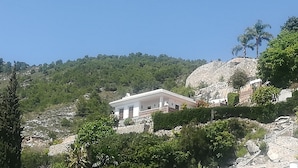 Eksteriør