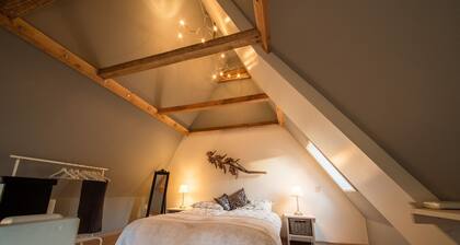 Maison monumentale dans le vieux centre et sur le port. Emplacement unique et luxueux!