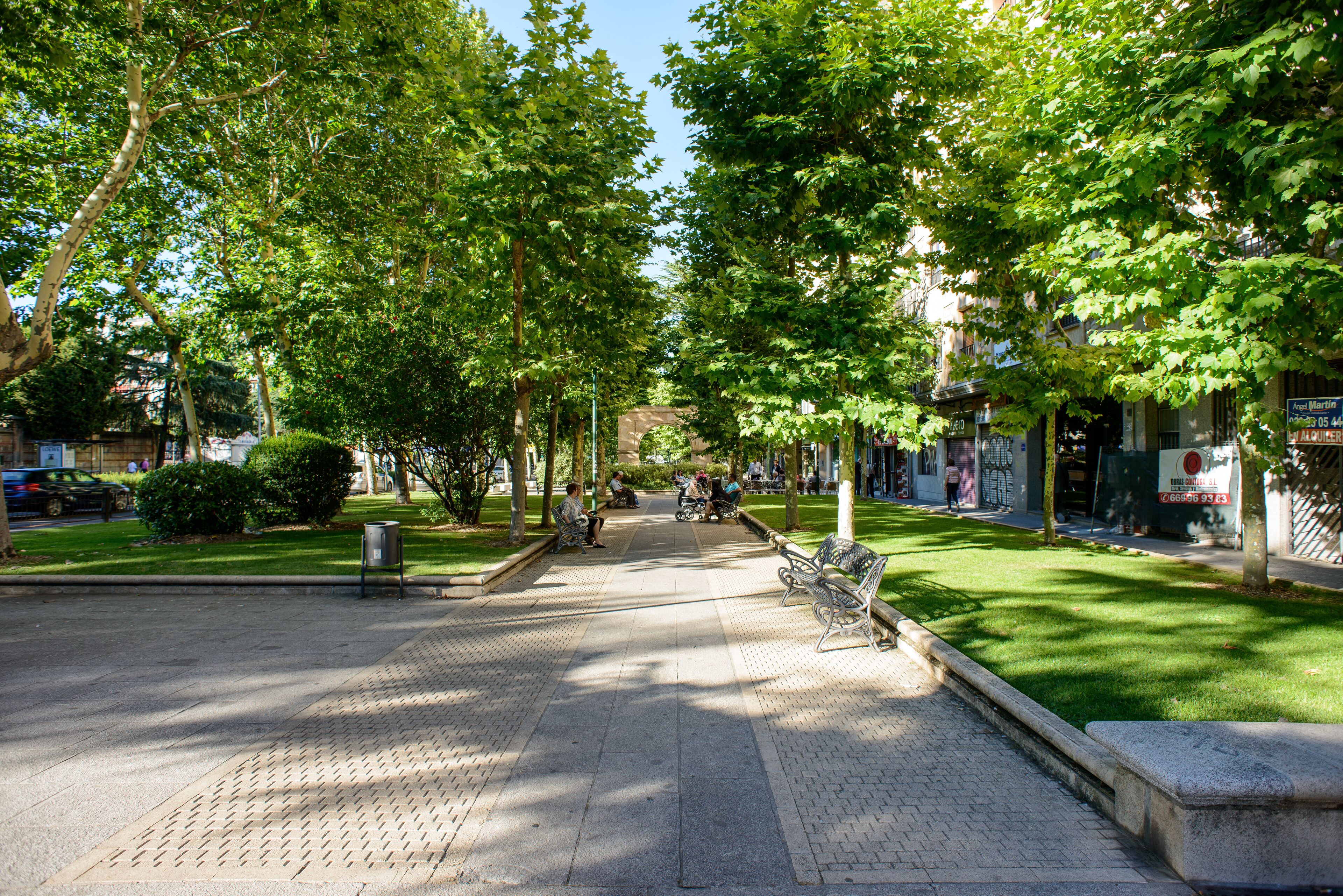 A tree-lined pedestrian walkway with benches and a clear sky.