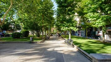 A tree-lined pedestrian walkway with benches and a clear sky.