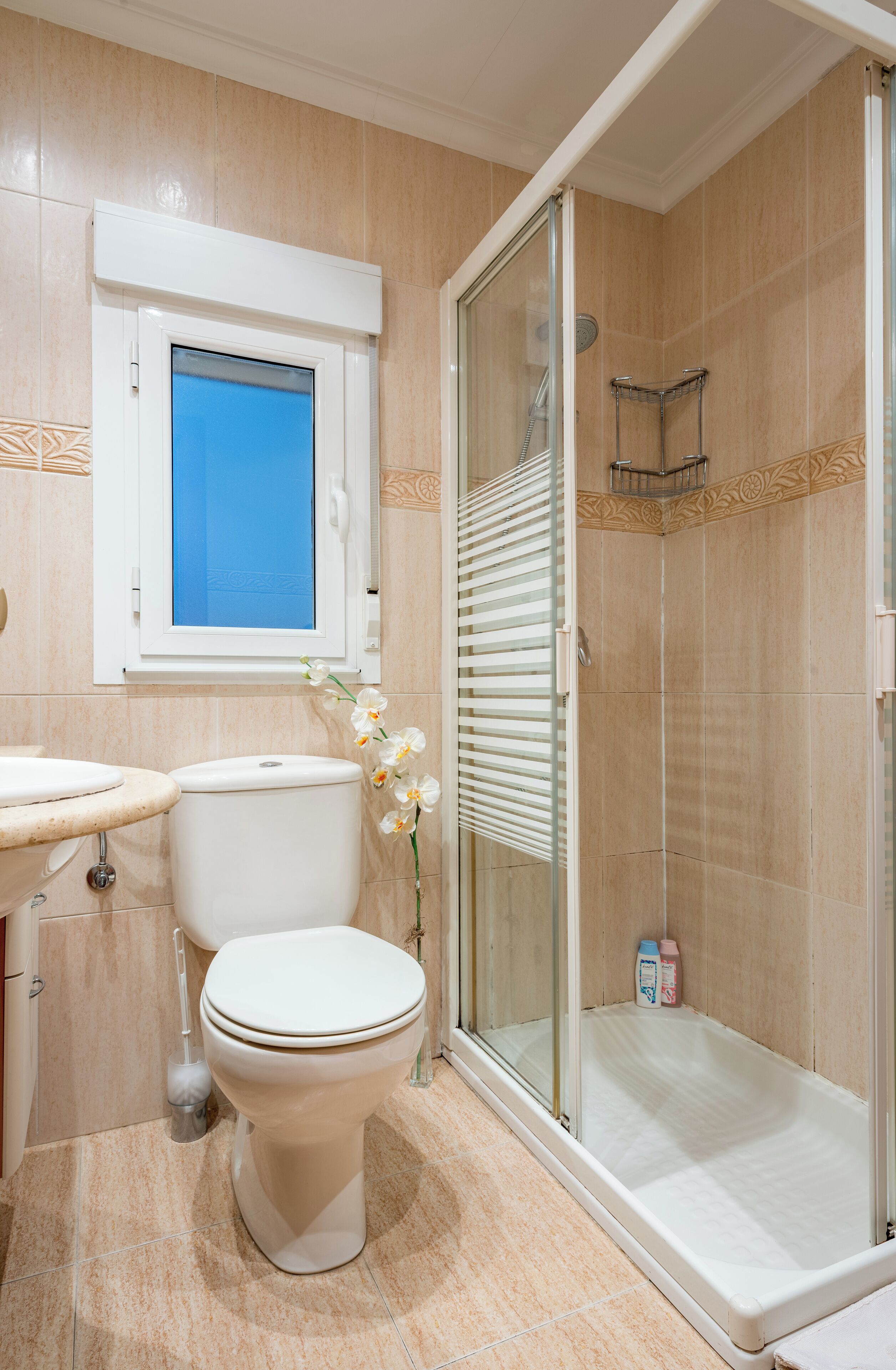 Dusche, Haartrockner, Bidet, Handtücher
