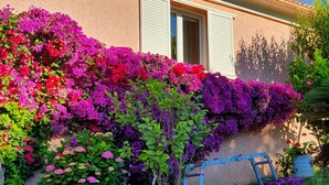 Ein Haus mit einer Gartenmauer, die von leuchtend blühender Bougainvillea überwuchert ist.