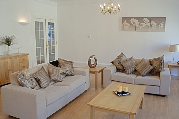 Una televisión de pantalla plana, una chimenea, un reproductor de DVD