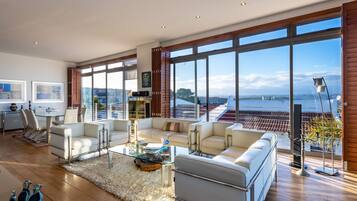 Älytelevisio, DVD-soitin, kirjoja, videokirjasto