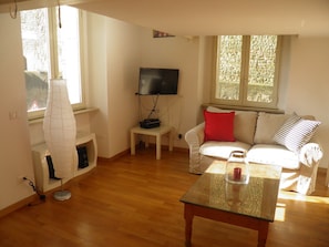 Smart TV, DVD player, books, stereo