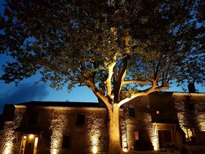 A stone building with a large tree in front, illuminated by warm lights. - Mas del Sord 1335 (L'Albiol)