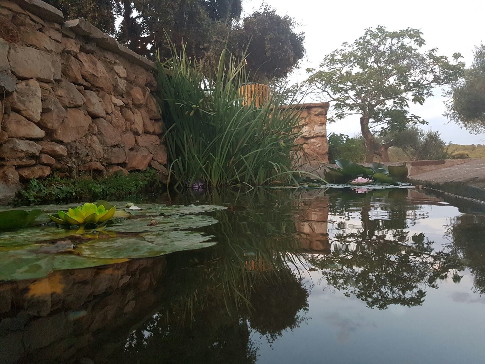 Photo - Mas del Sord 1335