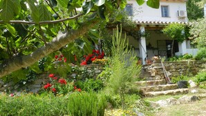Un jardín con un muro de piedra, diversas plantas y una casa con fachada blanca y tejas rojas.