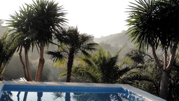 Piscina con agua cristalina, rodeada de palmeras y vista a un paisaje montañoso.