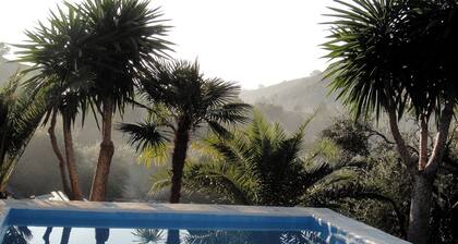 Family- and pet-friendly, privacy with large garden with pool and mountain views