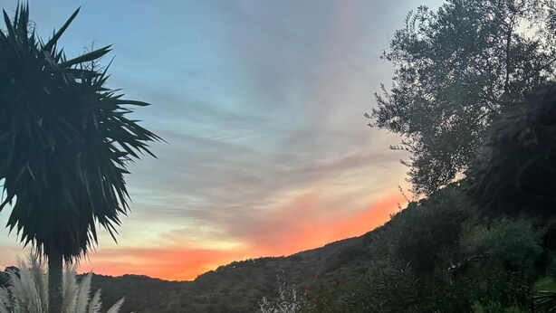 Un chien est assis sur une pelouse verdoyante, avec en arrière-plan un coucher de soleil et des collines.