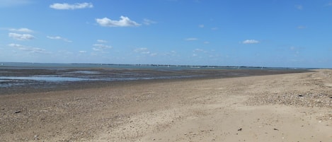 Playa en los alrededores y camastros