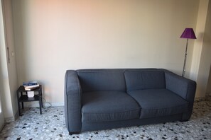 TV, DVD player, books