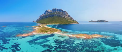 Beach nearby, sun-loungers