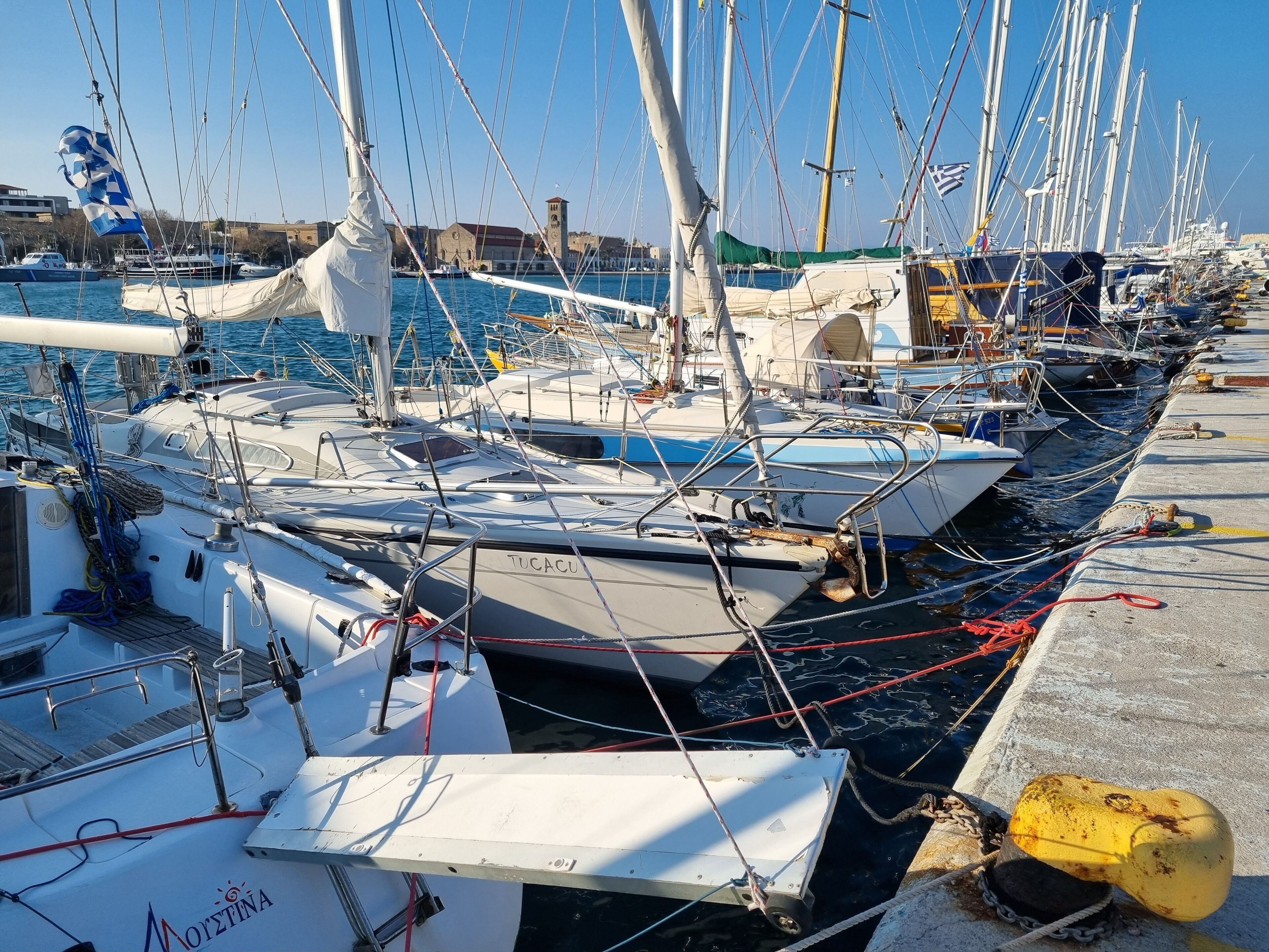 Uma marina com vários veleiros atracados, céu claro e edifícios ao fundo.