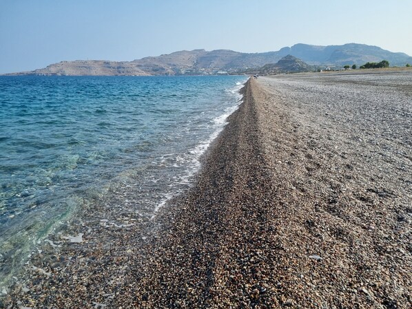 Toallas de playa