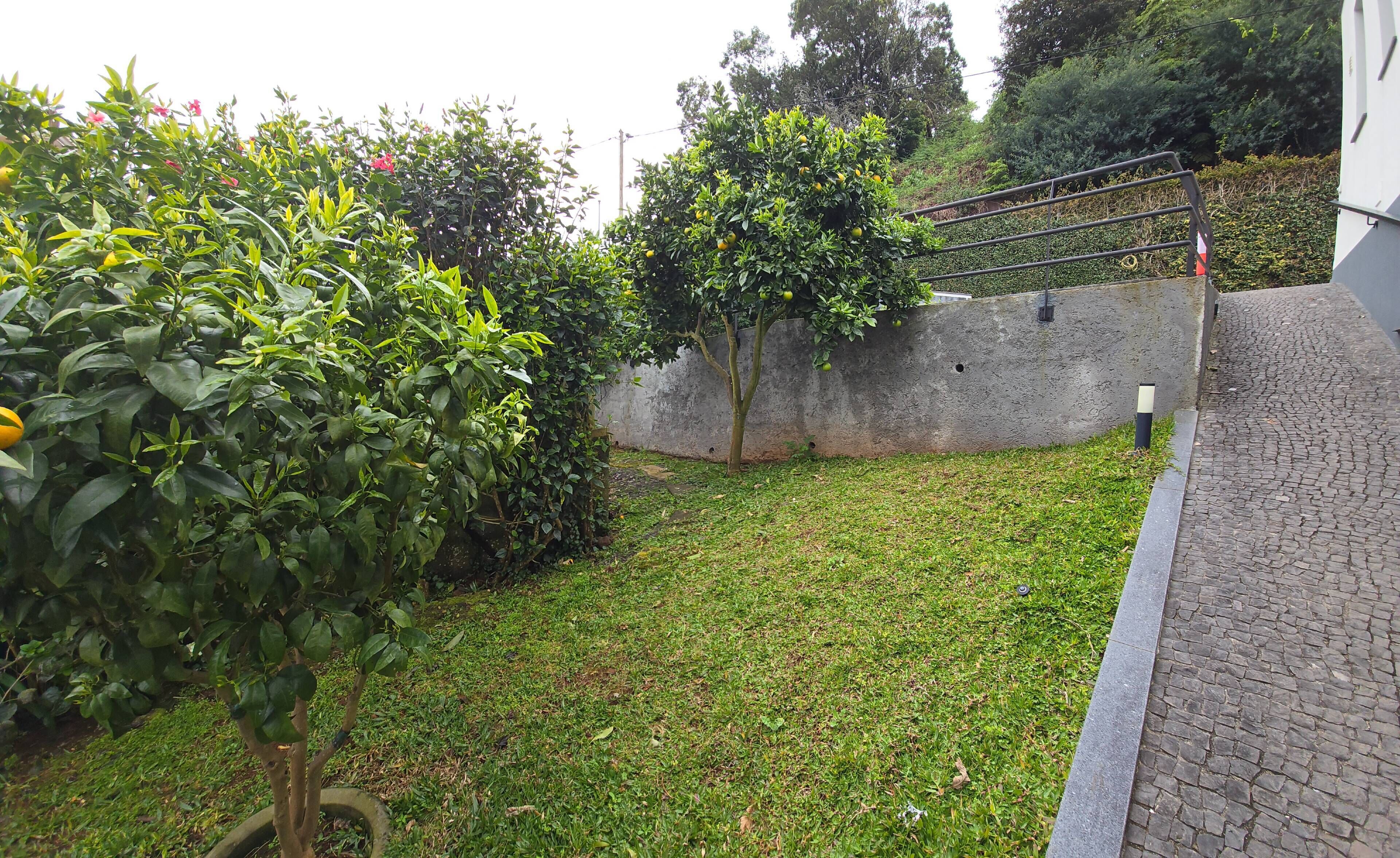 A paved pathway leading to a grassy area with a tree and a wall.