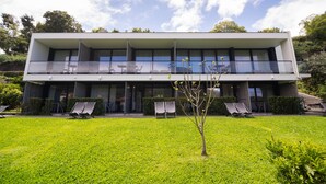 A modern two-story building with a flat roof, large windows, and a well-maintained lawn with sun loungers. - Studio south lower-level w/ kitchenett and patio (Madeira)