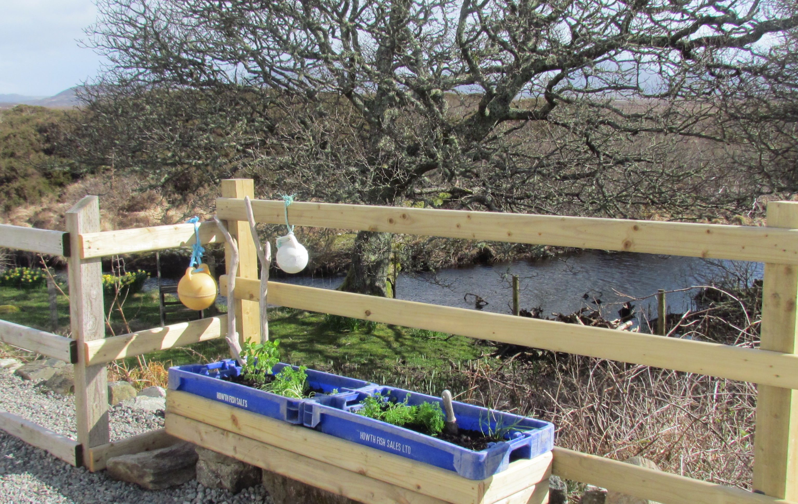 A wooden fence with a blue fish sale container and hanging bird feeders.