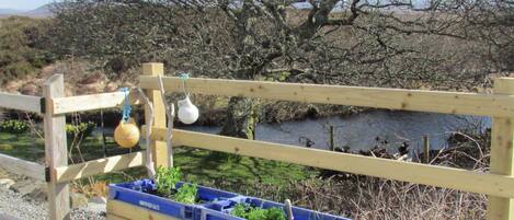 A wooden fence with a blue fish sale container and hanging bird feeders.