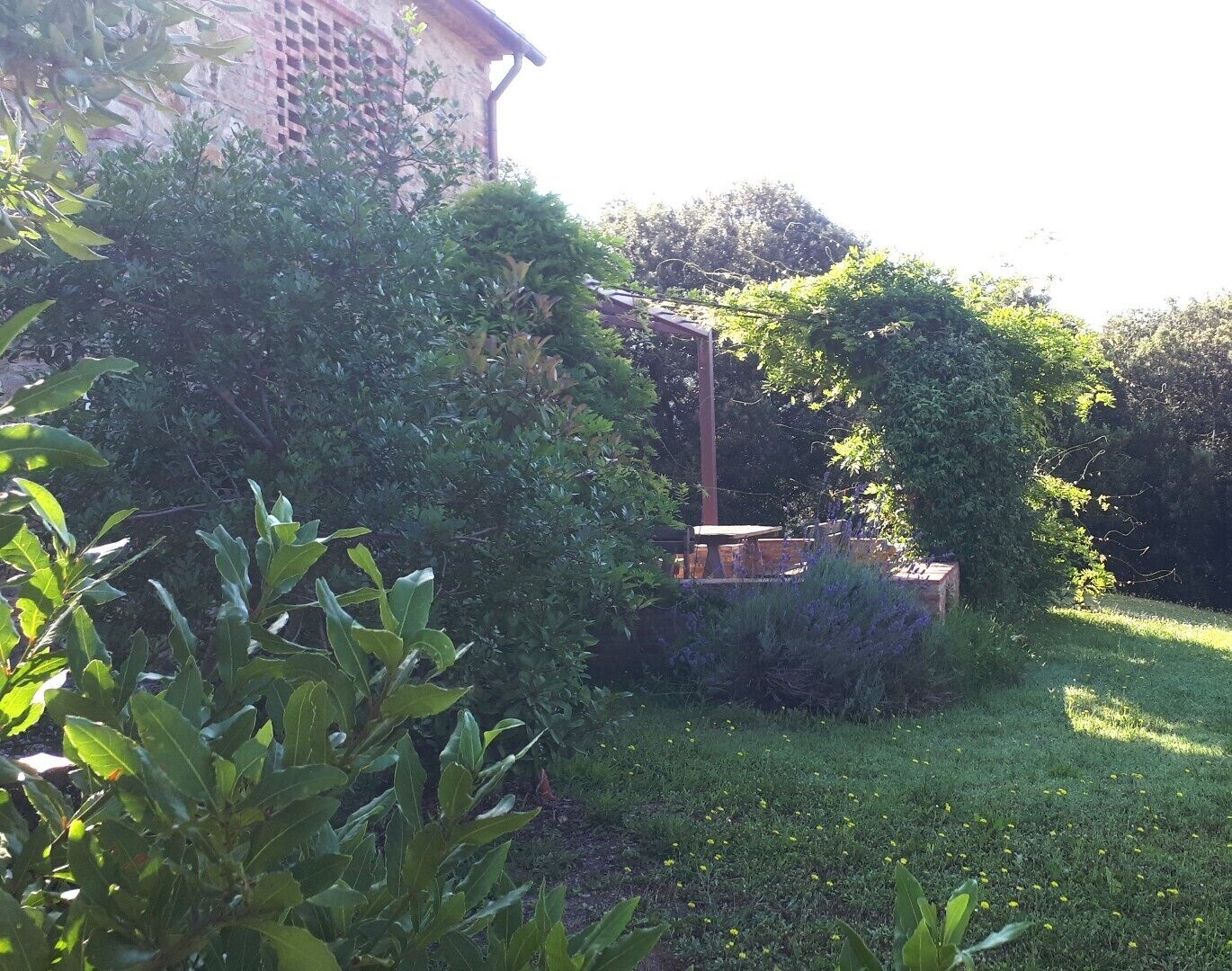 Ein Garten mit einer Pergola, üppigem Grün und einer Rasenfläche.