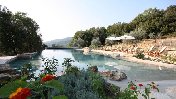 Piscina con vistas a las montañas, rodeada de vegetación y mobiliario exterior.