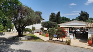 A building with a reception area, outdoor seating, and a paved walkway.