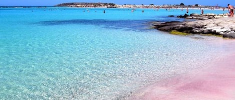 Plage à proximité