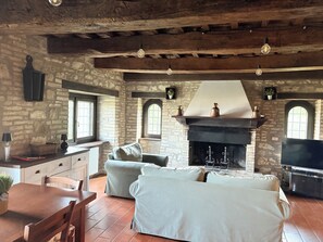 Smart TV, chimenea y reproductor de DVD