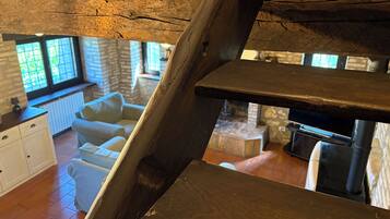 Smart TV, chimenea, reproductor de DVD