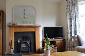 Smart TV, fireplace, Netflix, DVD player