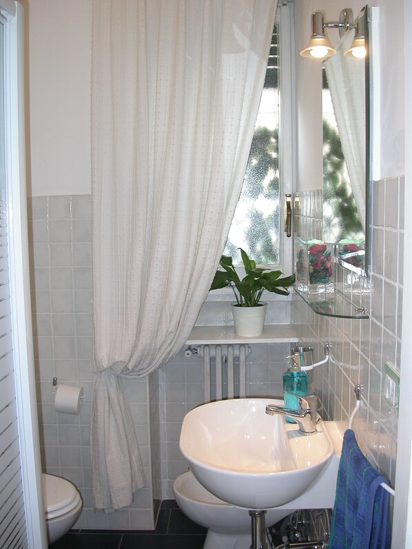 Shower, hair dryer, bidet, towels