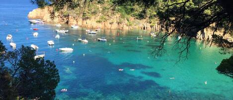 A coastal area with boats on clear turquoise water, surrounded by rocky cliffs and pine trees.