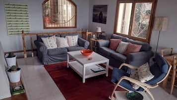 TV connectée, cheminée, lecteur de DVD, livres