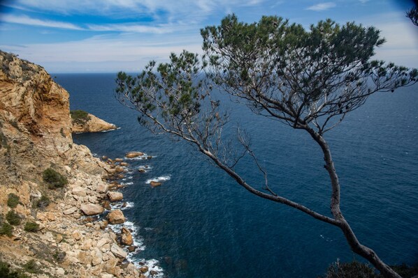 Eine Küstenlandschaft mit einer felsigen Klippe und einem Baumast, der sich über das Meer erstreckt.