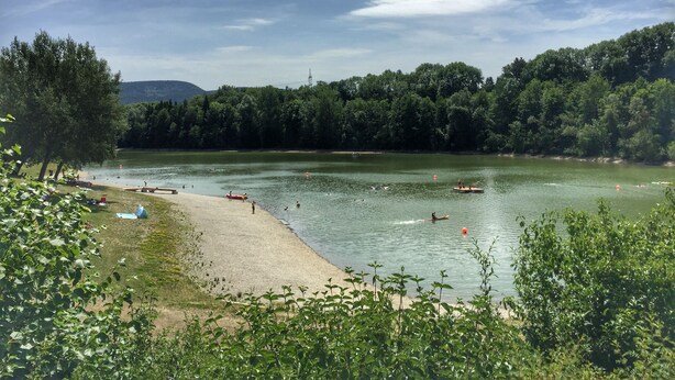 A lakeside view with a sandy beach, trees, and a boat on the water. - New apartment in a quiet location in the recreation area (Schömberg)
