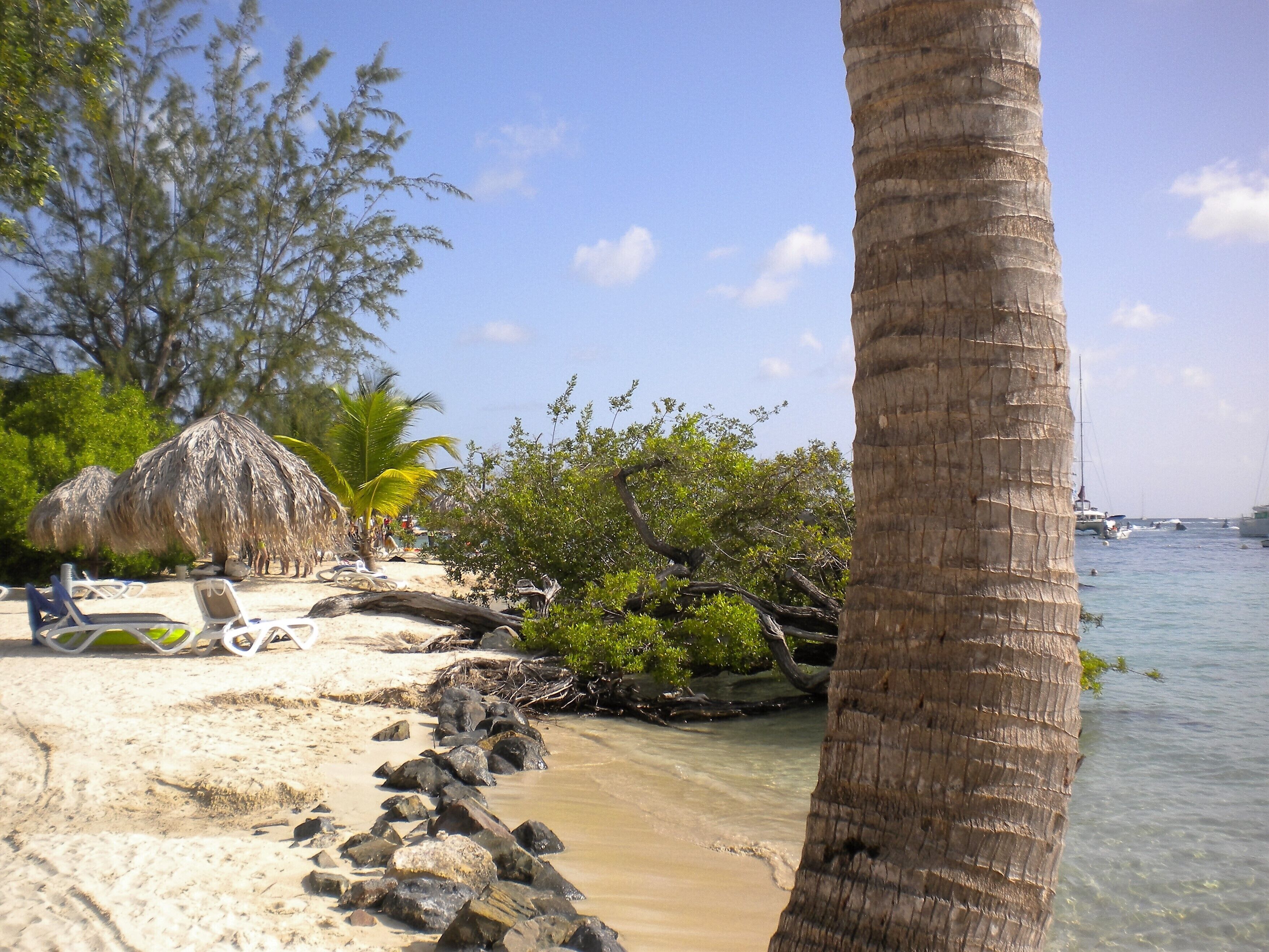 Ein Strand mit Liegestühlen, einer strohgedeckten Hütte, Palmen und einer felsigen Küstenlinie.