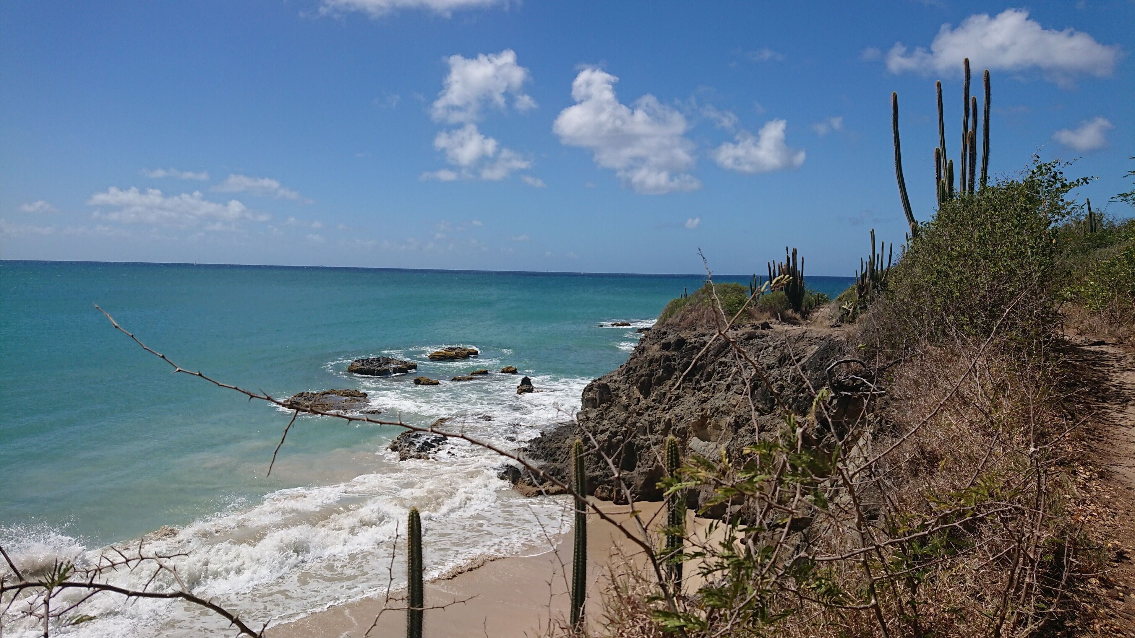 A coastal landscape with a sandy beach, rocky outcrops, and cacti.