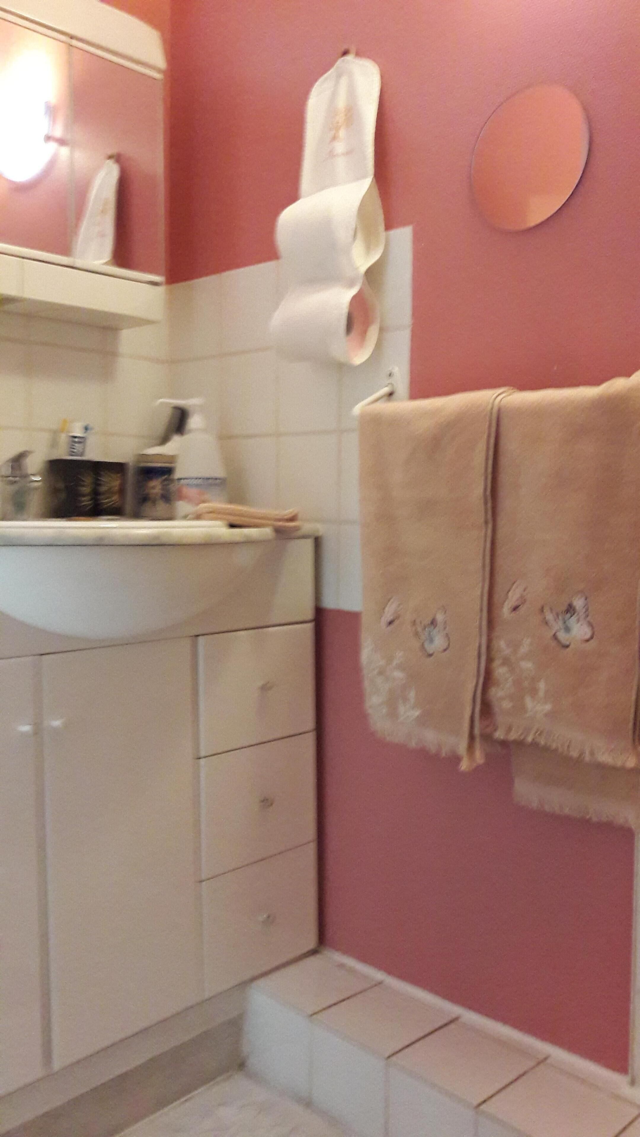 Un baño con lavamanos, espejo, toallero y dispensador de papel higiénico.